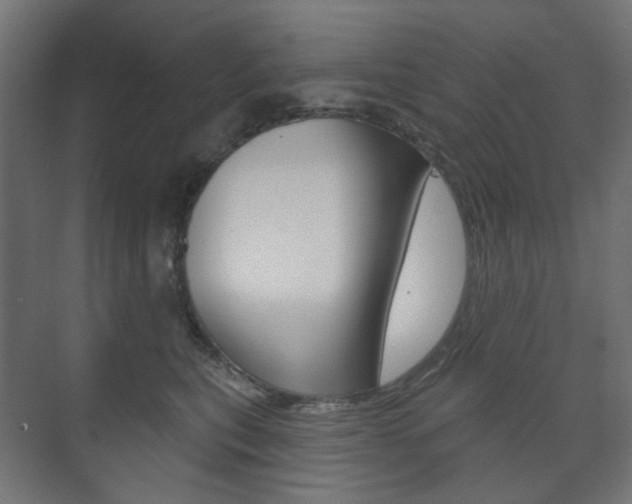 X0000073740567200608031112