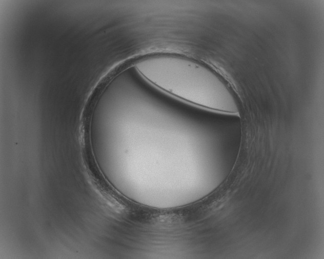 X0000073740584200608031112