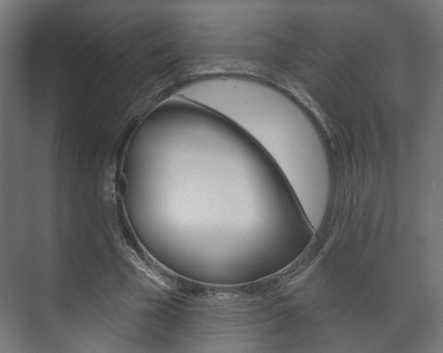 X0000073740585200608031112