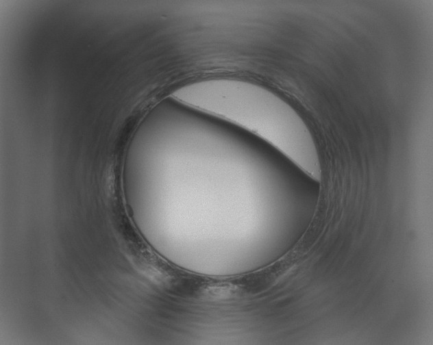 X0000073740595200608031111