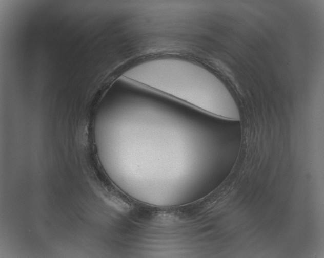 X0000073740596200608031111