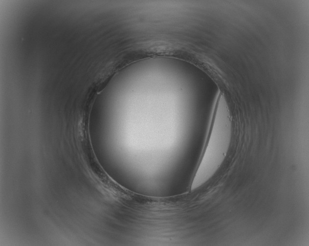 X0000073740597200608031111