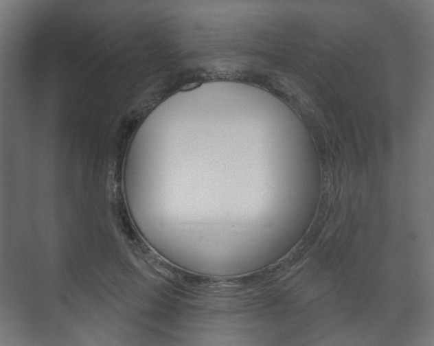 X0000073740599200608031111