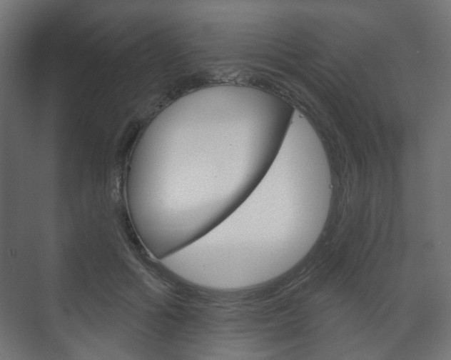 X0000073740602200608031111