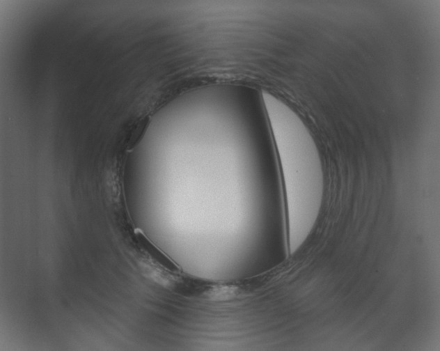 X0000073740609200608031111