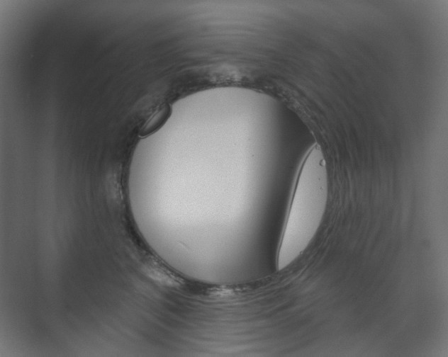 X0000073740616200608031111