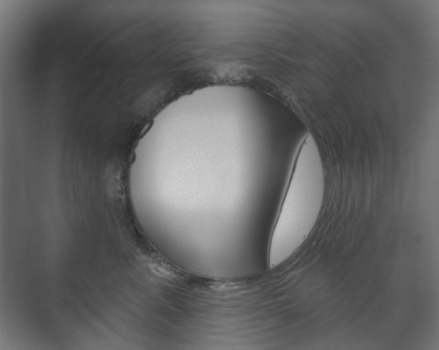 X0000073740619200608031111