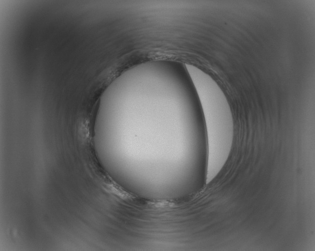 X0000073740621200608031111