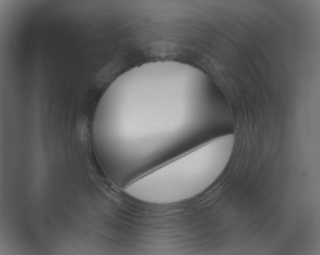 X0000073740623200608031111