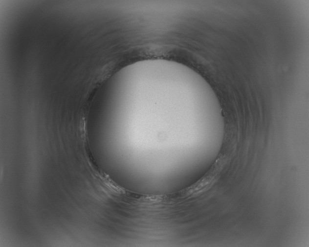 X0000073740624200608031111