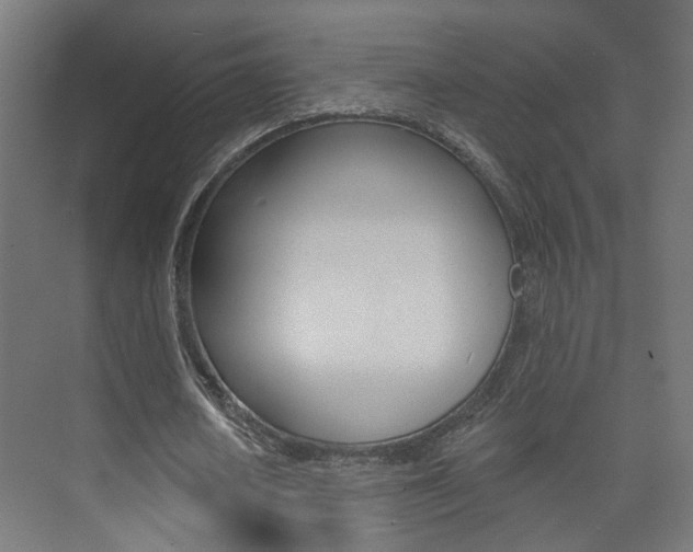 X0000073740626200608031110
