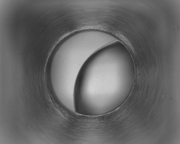 X0000073740628200608031110