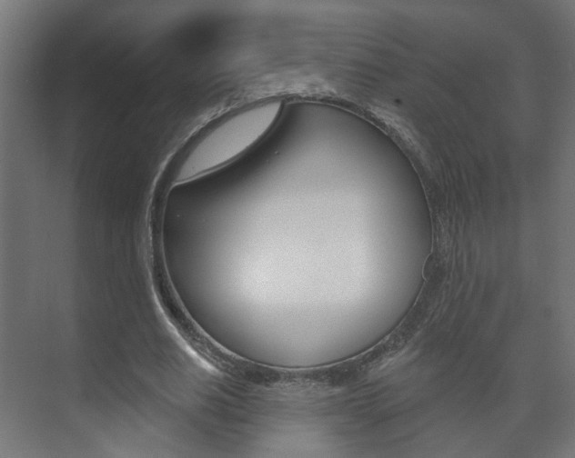 X0000073740630200608031110