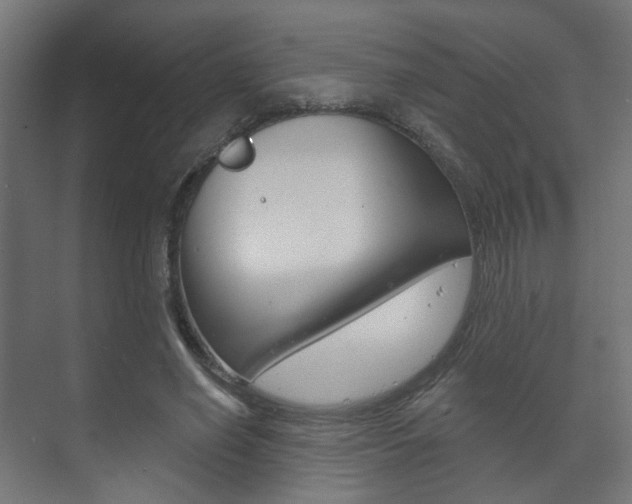 X0000073740638200608031110
