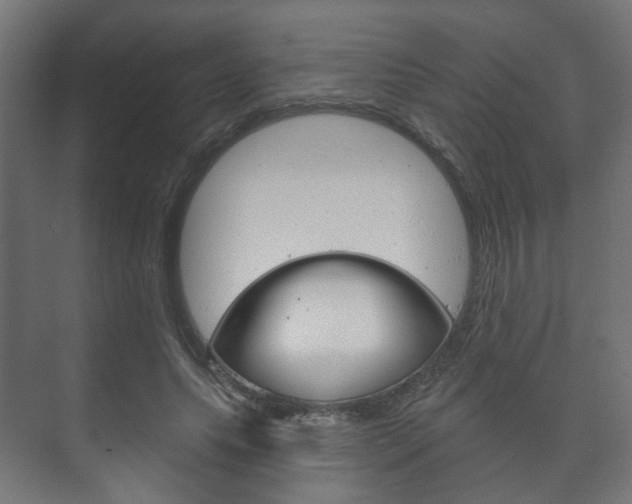 X0000073740639200608031110