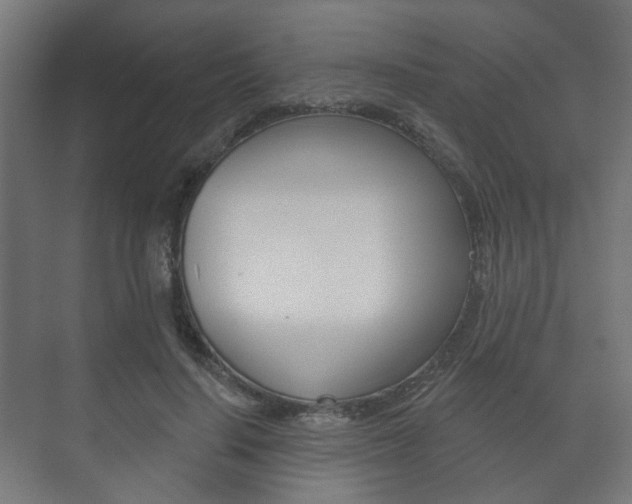 X0000073740644200608031110