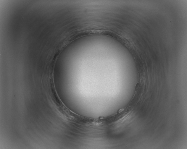 X0000073740647200608031111