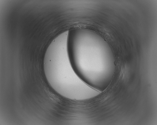 X0000073740649200608031111