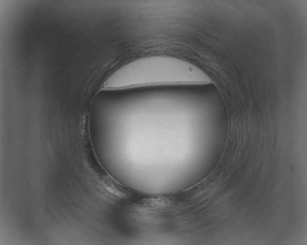 X0000073740652200608031111