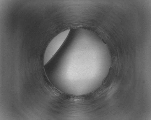 X0000073740655200608031111