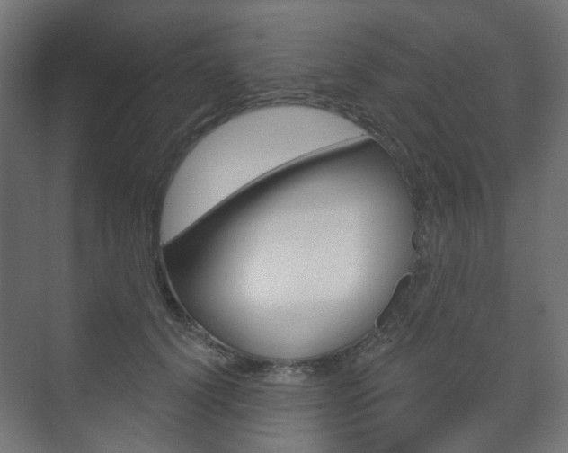 X0000073740656200608031111