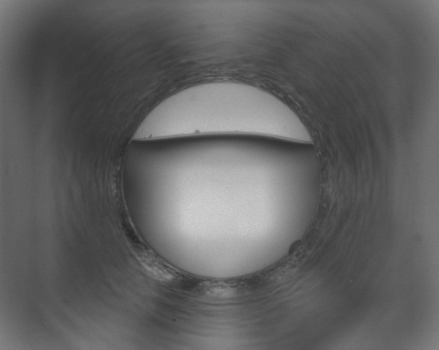 X0000073740658200608031111