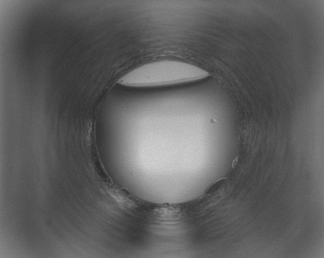 X0000073740660200608031111