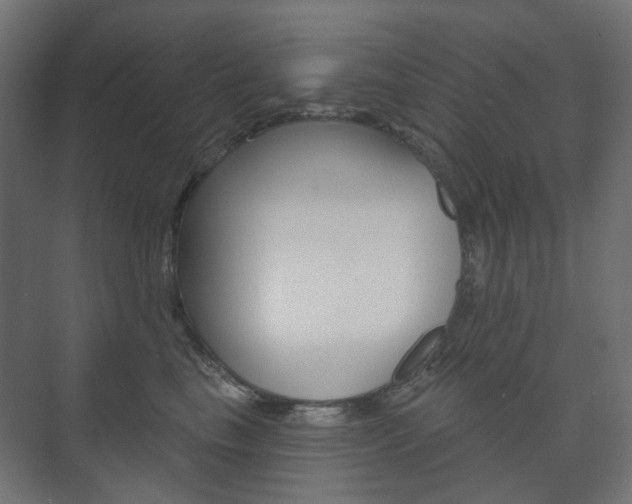 X0000073740665200608031111