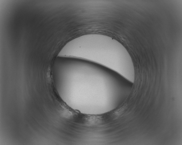 X0000073740670200608031111