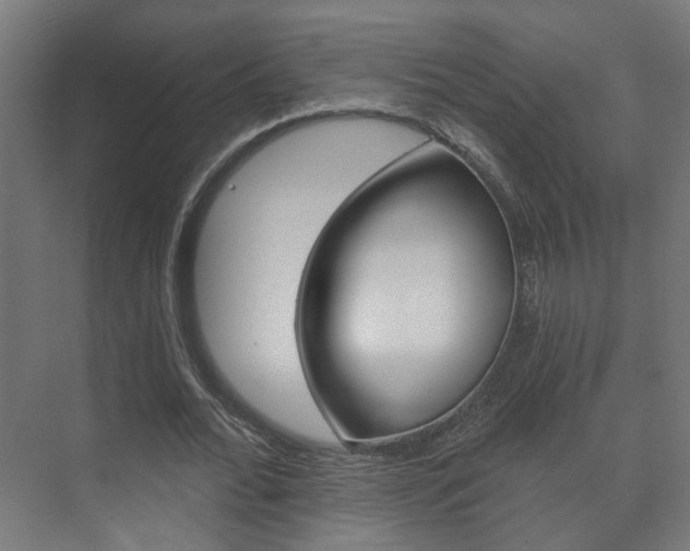 X0000073740676200608031110
