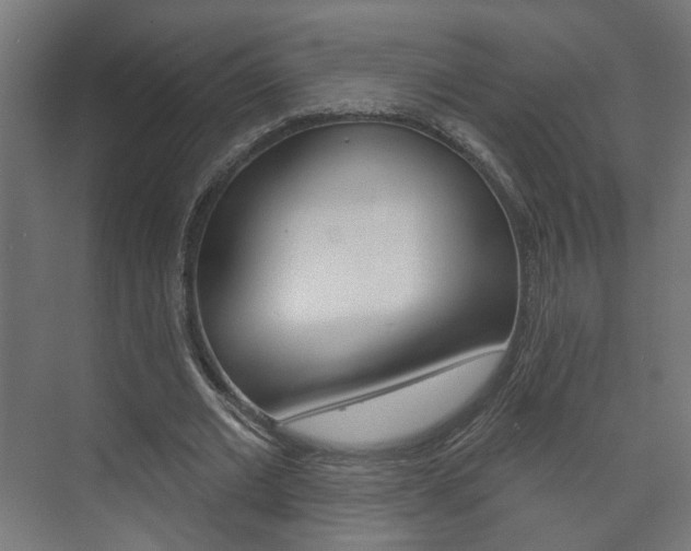 X0000073740677200608031110