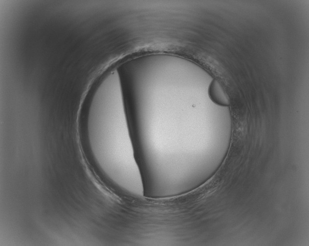 X0000073740678200608031110