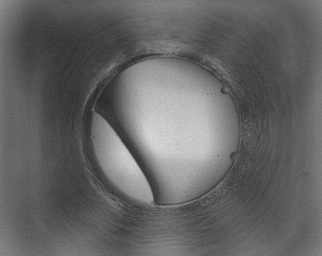 X0000073740679200608031110