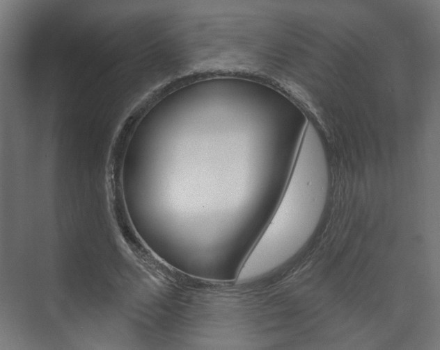 X0000073740680200608031110