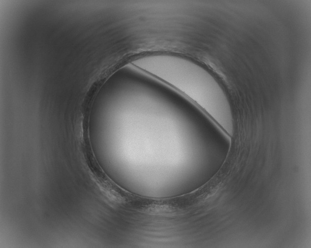 X0000073740685200608031110