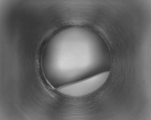 X0000073740688200608031110