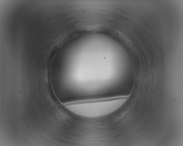 X0000073740689200608031110