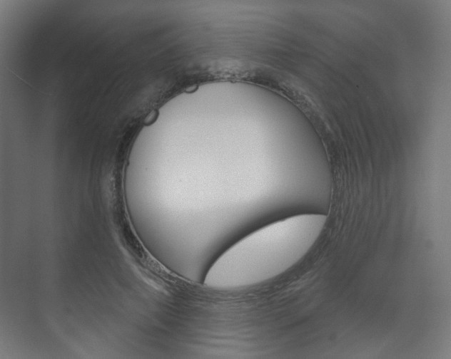 X0000073740690200608031110