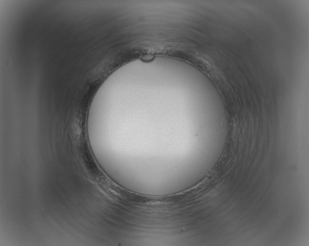 X0000073740691200608031110