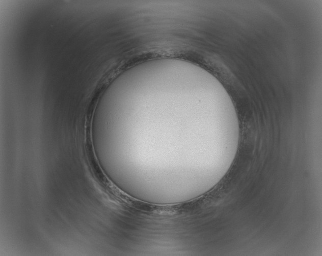 X0000073740694200608031110