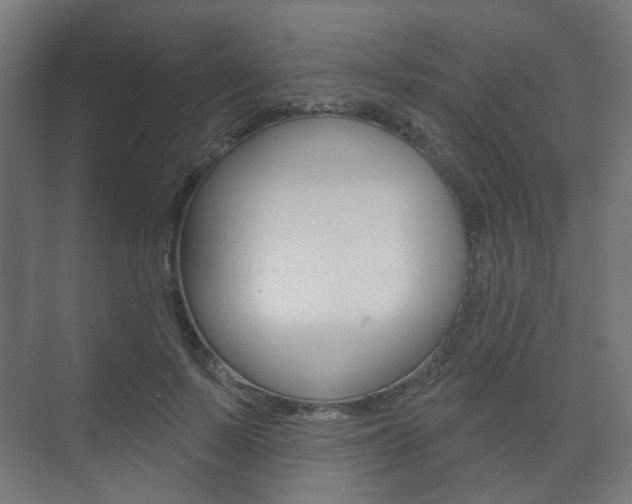 X0000073740695200608031110