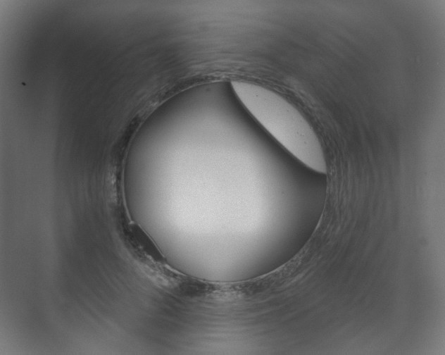 X0000073740696200608031110