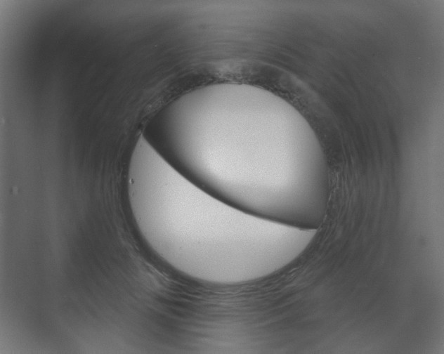 X0000073740702200608031110