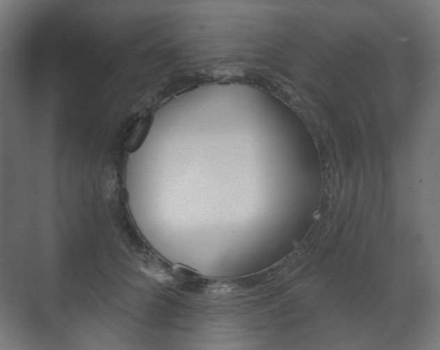 X0000073740704200608031110