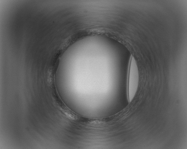 X0000073740708200608031110