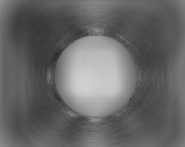 X0000073740709200608031110