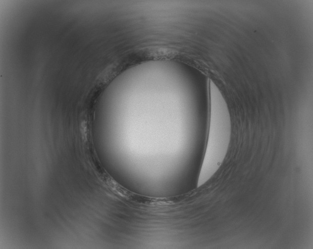 X0000073740716200608031109