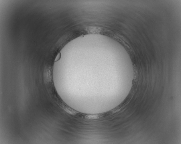 X0000073740717200608031109