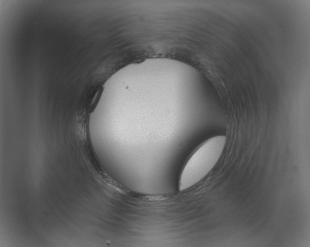 X0000073740719200608031109