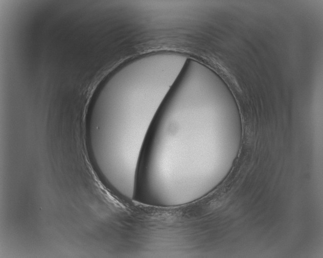 X0000073740721200608031109